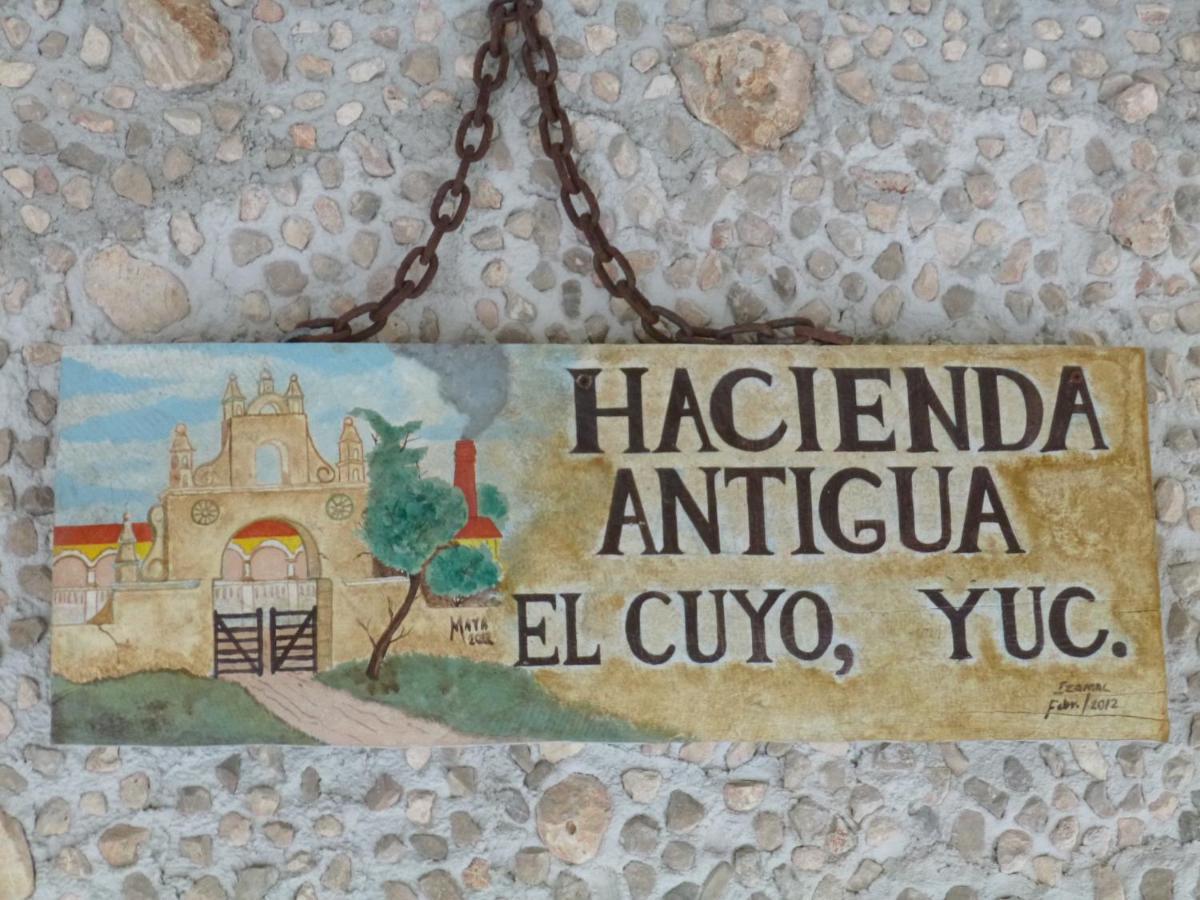 Hacienda Antigua Villa, 50M From Sandy Beach El Cuyo Dış mekan fotoğraf